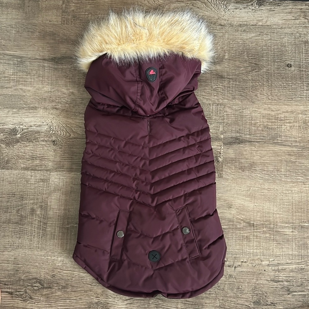 PAJAR Toby Jacket - Picture 5 of 11